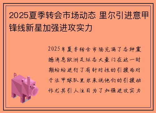 2025夏季转会市场动态 里尔引进意甲锋线新星加强进攻实力