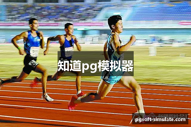 知道pg模拟器